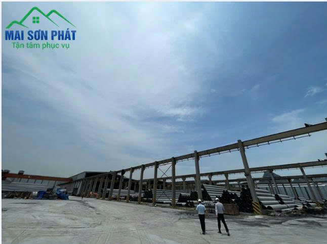 Báo giá cọc bê tông ly tâm D300 D800 thi công dự án Mai Sơn Phát