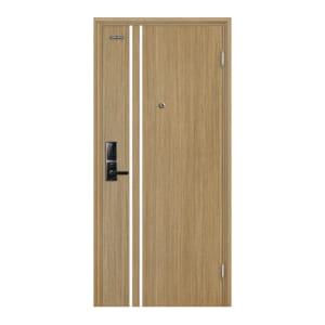 Cửa thép vân gỗ KG-306