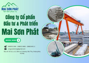 cống cọc bê tông